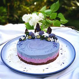 Blueberry Cheesecake