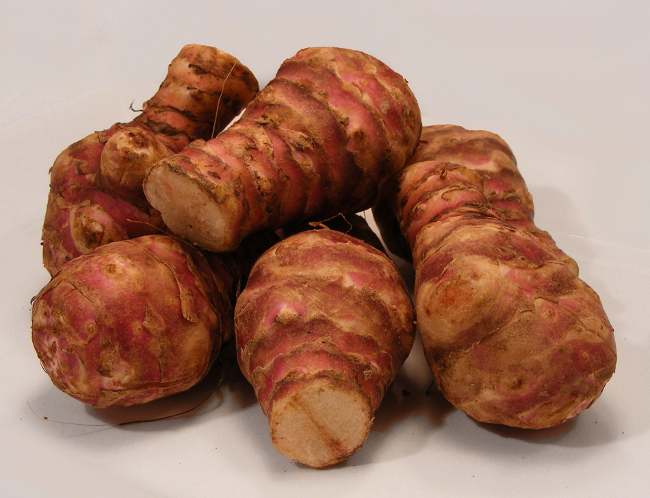 jerusalem artichokes