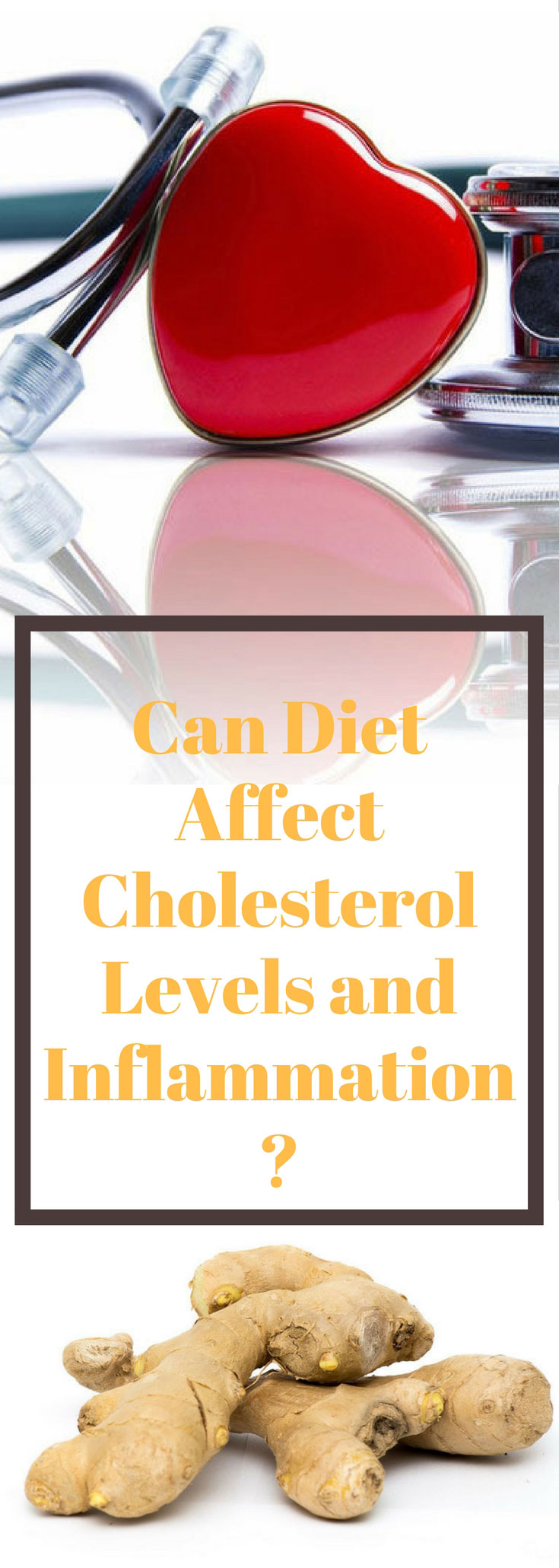 Can Diet Affect Cholesterol Levels and Inflammation?