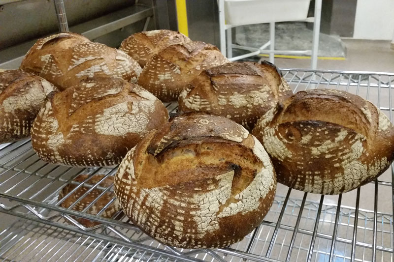 San Francisco Sourdough